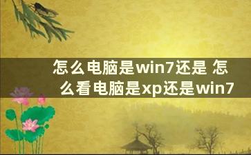 怎么电脑是win7还是 怎么看电脑是xp还是win7